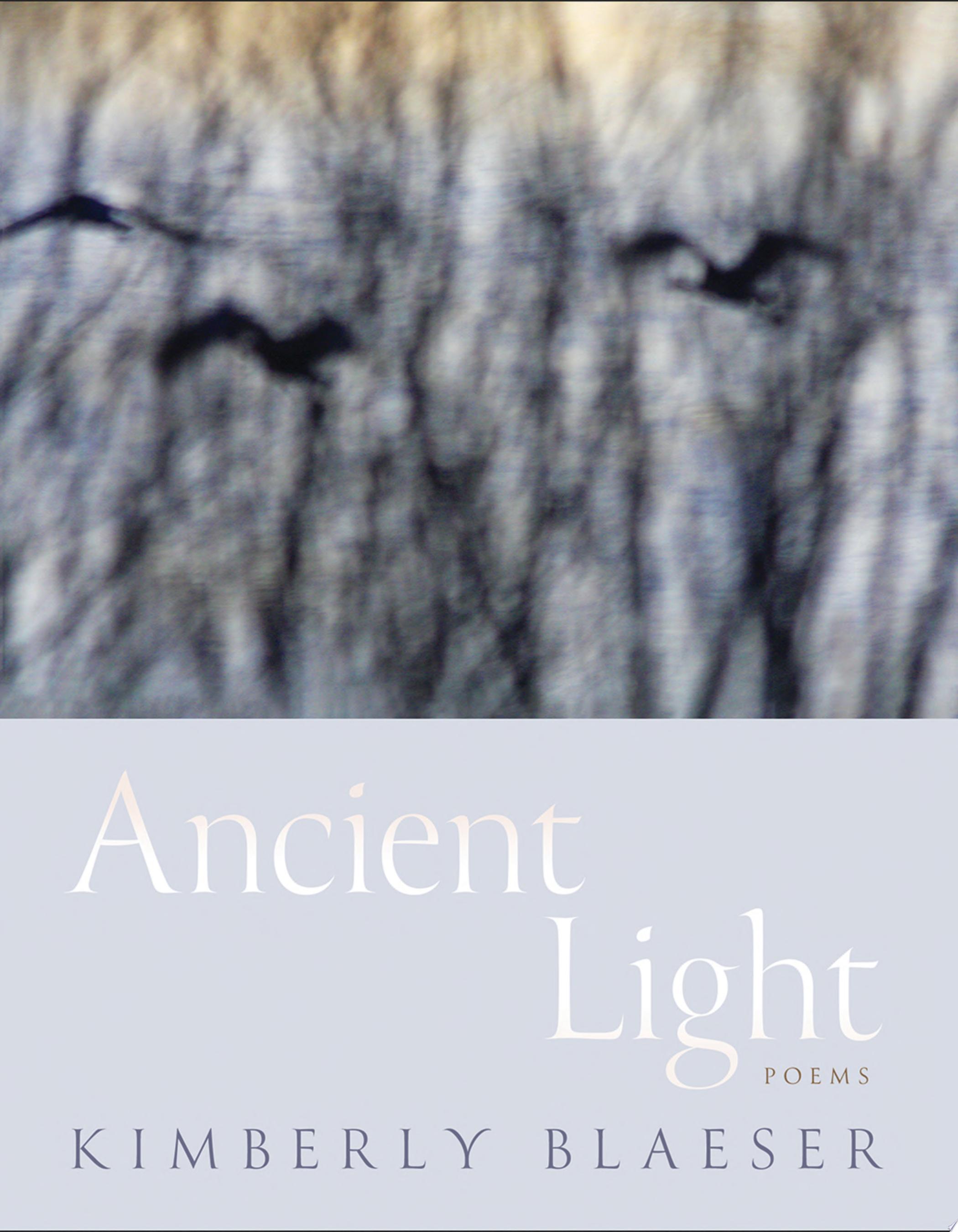 Image for "Ancient Light"
